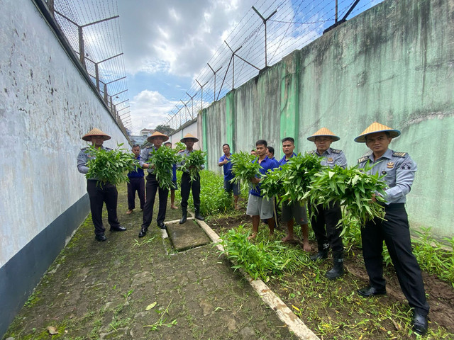 Kalapas Magelang Pimpin Panen Raya di Kebun Lapas