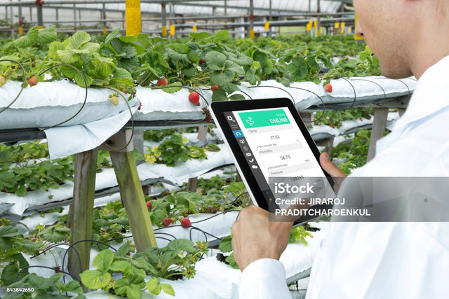 https://media.istockphoto.com/id/843842650/id/foto/pertanian-cerdas-pertanian-konsep-teknologi-sensor-tangan-petani-menggunakan-tablet-untuk.jpg?s=1024x1024&w=is&k=20&c=8Y0k29jDcLWGJcEW7xGJ9OpfpTkAI-eZfzKJaPWpbIY=