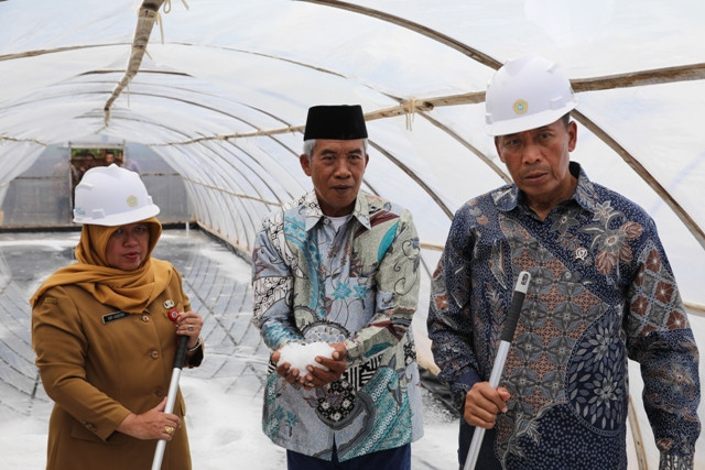 Wakil Menteri Pendidikan Tinggi, Sains, dan Teknologi, Prof. Dr. Fauzan, M.Pd mengunjungi lokasi proyek penelitian “Menuai Harapan” di Desa Lumbung, Pamekasan, Madura Selasa (25/5). (dok.duta.co). Dikutip dari DUTA https://duta.co/wamendiktisaintek-kunjungi-proyek-penelitian-menuai-harapan-kolaborasi-dan-dampak-indikator-keberhasilan-kampus.