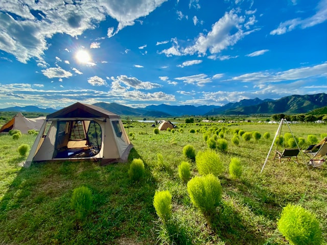 Glamping Puncak Bogor, foto hanya ilustrasi, bukan tempat sebenarnya: Unsplash/Li Yang