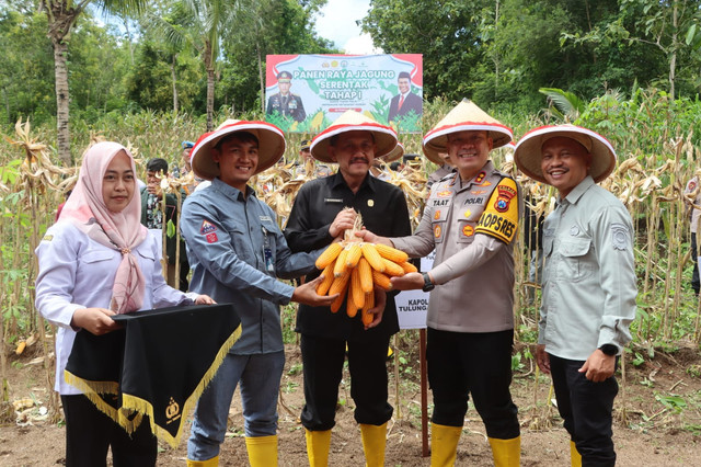 Panen Raya Jagung Serentak Tahap 1 Dalam Rangka Mendukung Ketahanan Pangan