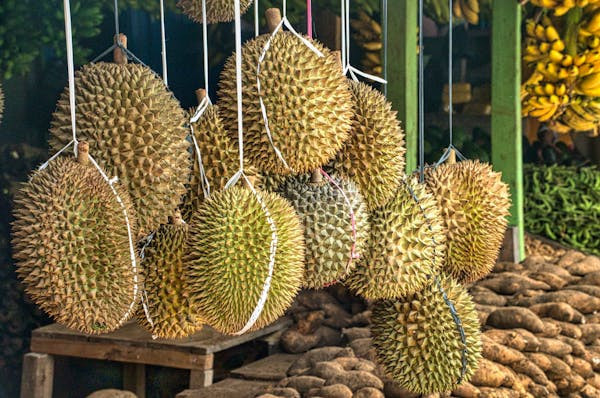 Durian, yang dikenal sebagai "raja buah" atau King of Fruit, adalah buah tropis yang berasal dari Asia Tenggara. Foto: Pexels.com