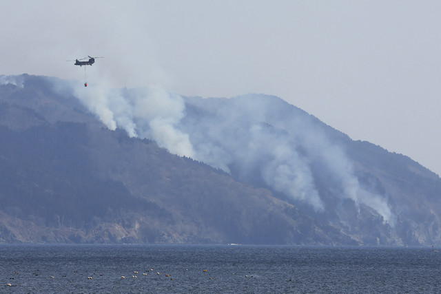 Suasana kebakaran hutan di salah satu gunung di Ofunato, Prefektur Iwate, Jepang, Jumat (28/2/2025). Foto: Stringer/AFP