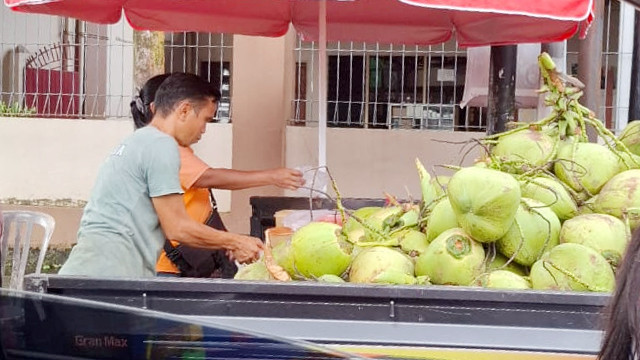 Pedagang kelapa muda di Kota Manado, Sulawesi Utara.