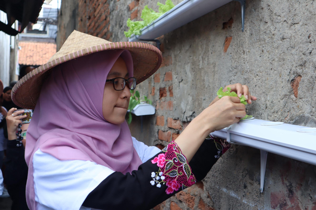 PNM luncurkan program Lorong Mekaar melalui pendekatan urban farming untuk nasabah di wilayah Cikoko, Jakarta Selatan. Foto: Dok. PNM