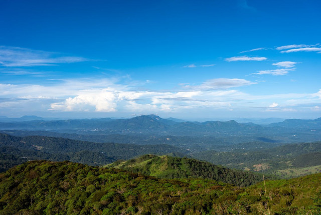 Gunung tertinggi di Jawa Timur,Pexels/Thilina Alagiyawanna