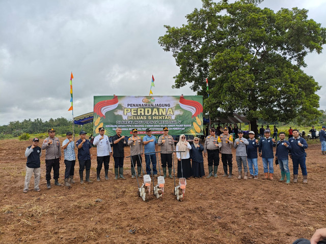 PTPN tanam perdana lima hektare jagung. Foto: Dok. PTPN XIII