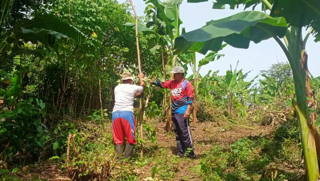 Dosen UMY Dorong Pemanfaatan Tanah Wakaf untuk Pemberdayaan Umat di Turi