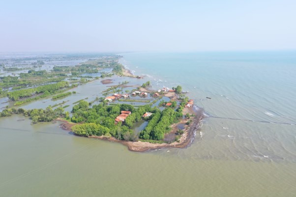 Foto Area dampak penurunan muka tanah di Dusun Semonet, Desa Semut Kecamatan Wonokerto, Kabupaten Pekalongan (Dok. PATGTL, Badan Geologi)