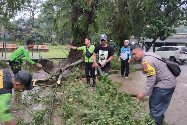 Pohon tumbang di kawasan Kota Bogor, Jawa Barat, Kamis (6/3/2025). Foto: Dok. Istimewa