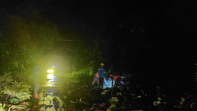 Petugas Pelayanan Teknik ULP Bengkayang dengan semangat melakukan proses pembersihan ranting dan dahan pohon akibat longsor. Foto: Dok. PLN ULP Bengkayang