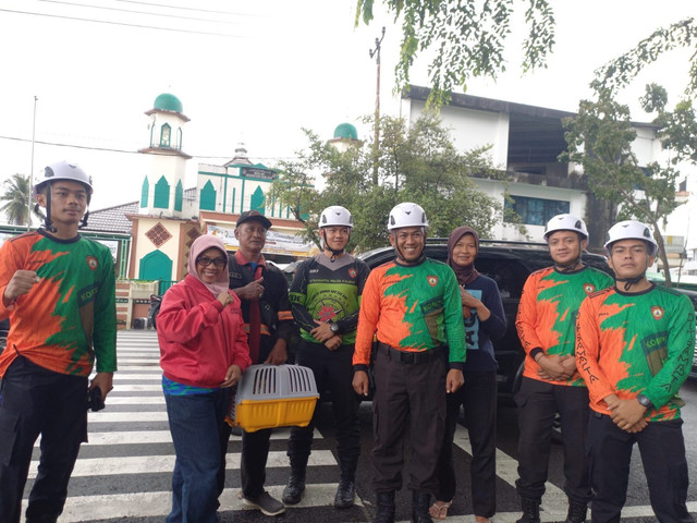 Petugas gabungan yang telah berhasil melakukan evakuasi kucing yang berada di atas pohon di Jalan Alianyang, Kota Pontianak. Jumat, 7 Maret 2025. Foto: Dok. Istimewa