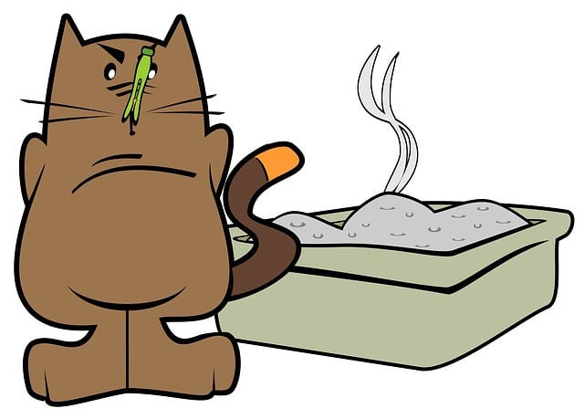 Ilustrasi Tips agar Kucing Tidak Tidur di Litter Box, Foto: Pixabay/Merio