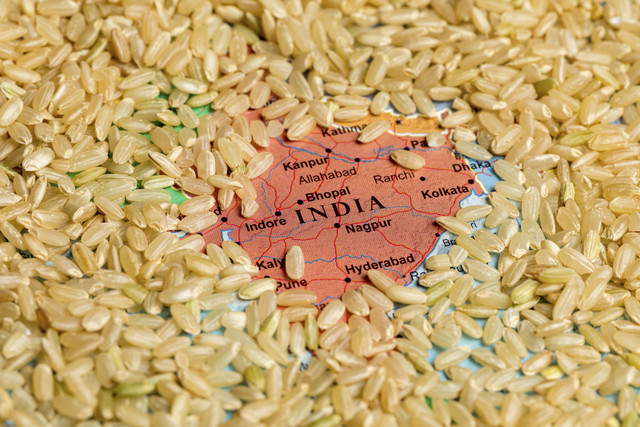 Ilustrasi beras India. Foto: J.J. Gouin/Shutterstock