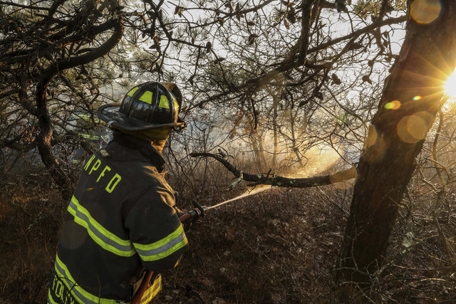 Petugas pemadam kebakaran merespons kebakaran semak belukar di Suffolk County, Long Island, New York, pada hari Sabtu (8/3/2025). Foto: Steve Pfost/AP