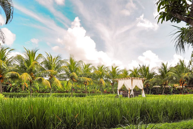 Kampung Wisata Cinangneng. Foto hanyalah ilustrasi bukan tempat sebenarnya. Sumber: Unsplash/Coleen Rivas