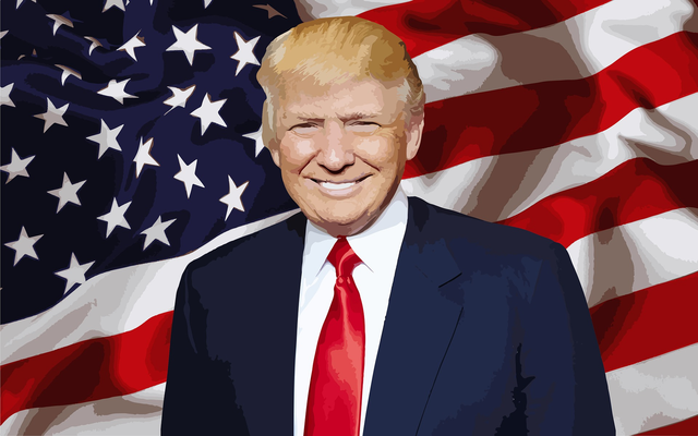 Foto Presiden Donald Trump (Sumber: Pixabay/@Vika_Glitter)