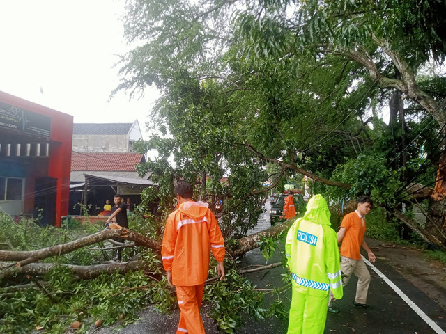 Polsek Kalangbret Mendatangi TKP Pohon Tumbang Yang Menutup Jl Soekarno Hatta