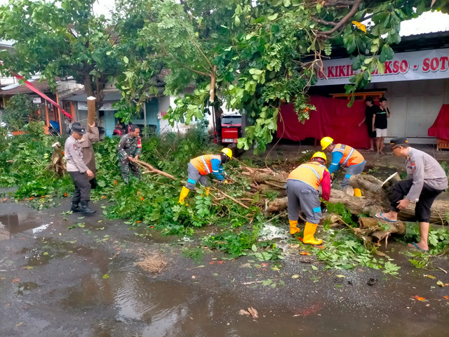 Polsek Ngunut Mendatangi 2 TKP Adanya Pohon Tumbang di Pinggir Jalan