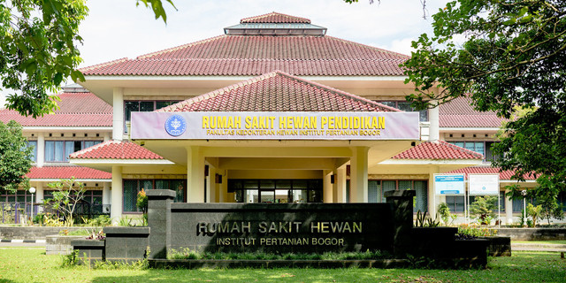 Bingung Titip Hewan Saat Mudik RSHP IPB University Jawabannya!