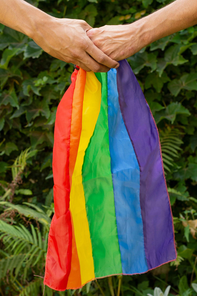 https://www.freepik.com/free-photo/close-up-hands-holding-gay-pride-flag_7061401.htm#fromView=search&page=1&position=15&uuid=e3b92806-e14d-4155-82c0-2bb33f426bea&query=Lgbt