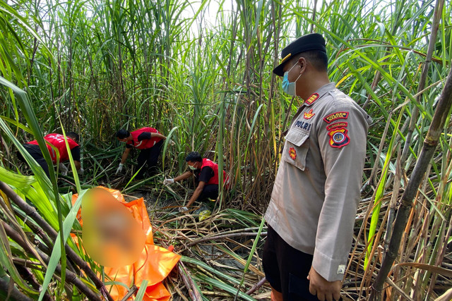 Kerangka manusia ditemukan di sebuah lahan tebu di Pedukuhan Kaligondang, Kalurahan Sumbermulyo, Kapanewon Bambanglipuro, Kabupaten Bantul, Senin (17/3/2025). Foto: Polres Bantul