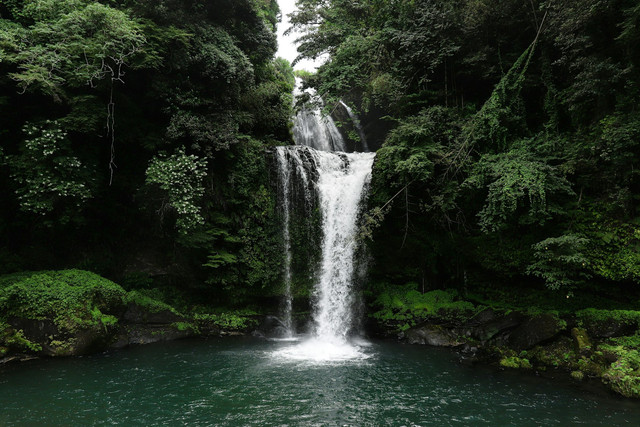 Tempat Wisata Alam Kediri. Foto hanya ilustrasi, bukan tempat sebenarnya. Foto: dok. Unsplash/SLNC