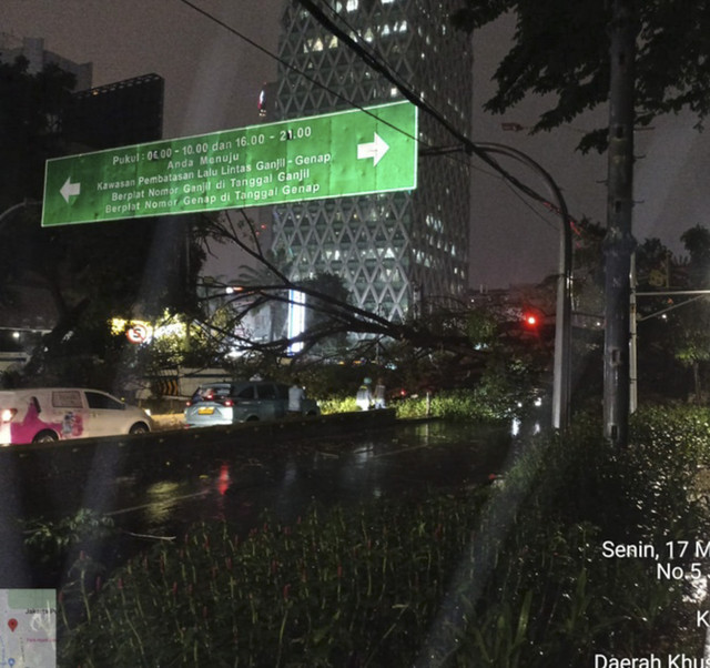 Pohon tumbang di Jalan Kebon Sirih Jakarta Pusat, Senin (17/3/2025). Foto: X/ @TMCPoldaMetro