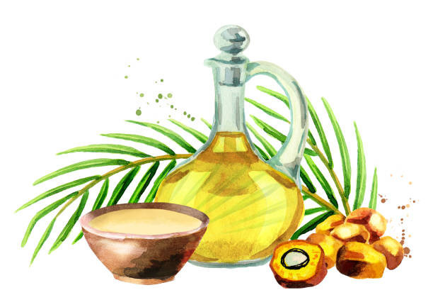 Palm oil product illustration. Sumber ilustrasi: iStock 