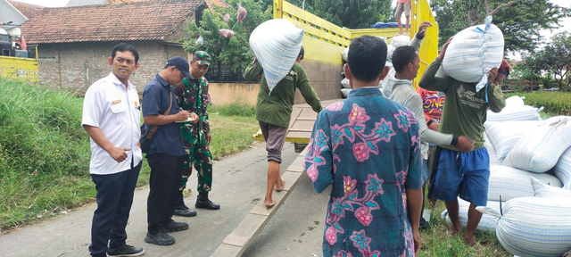 BULOG kantor cabang Kediri membawa gabah kering panen dari petani. Foto: Dok. BULOG