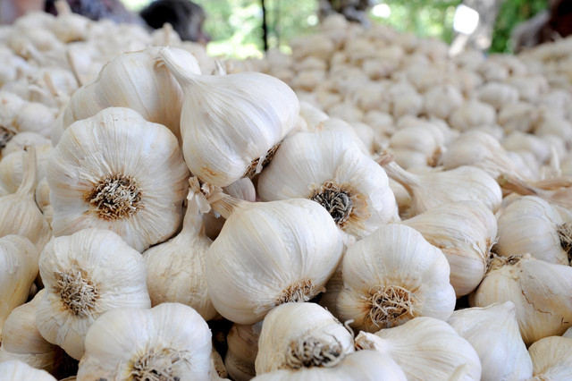 Ilustrasi bawang putih. Foto: Pexels