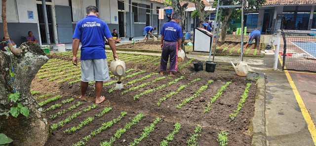 Dukung Ketahanan Pangan Lapas Magelang Kembali Tanam Sayuran