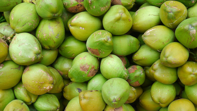 Kelapa ijo. Foto: Lovenish/Shutterstock