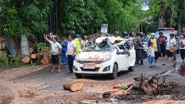 Mobil Turis Tertimpa Pohon di Bali. Foto: Istimewa