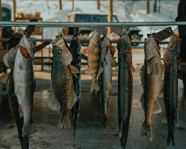 Makanan Khas Gorontalo. Foto Hanya Ilustrasi, Bukan Sebenarnya. Sumber Unsplash Clay Banks