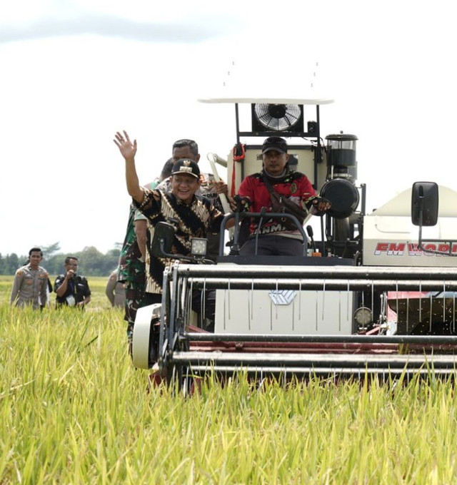 Bupati OKU TImur Enos saat melakukan Panen Raya di Desa Taraman Jaya, Kecamatan Semendawai Suku III. Foto : Kominfo Pemkab OKU Timur
