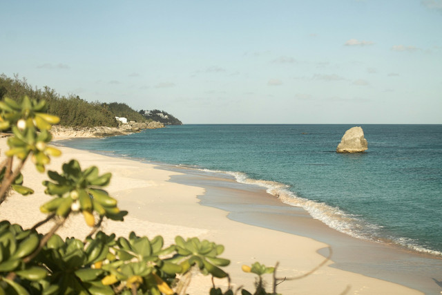 Pantai Tanjung Pendam. Foto hanya ilustrasi, bukan tempat sebenarnya. Sumber: unsplash.com/Charlie Hales.