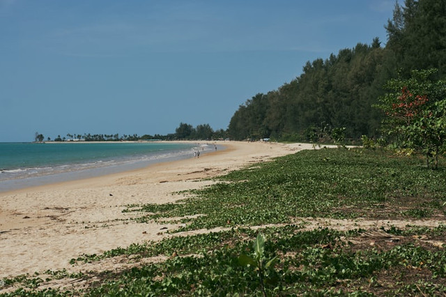 Pantai Nangai. Foto hanyalah ilustrasi bukan tempat sebenarnya. Sumber: Unsplash/set.sj