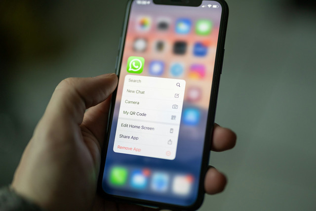 Ilustrasi cara agar tidak terlihat melihat status wa. Sumber: dimitri karastelev/unsplash