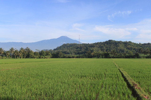 Atap Jawa Tengah. Foto adalah Gunung Slamet. Sumber: Unsplash/Mufid Majnun