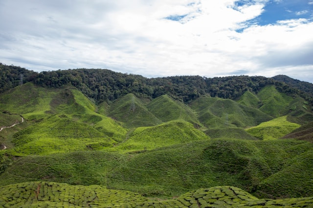 Jendela Langit Prigen. Foto hanya ilustrasi, bukan tempat sebenarnya. Sumber: unsplash.com/Abdelrahman Ismail