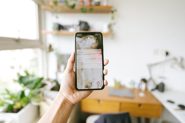 Ilustrasi cara menghapus objek di foto di iphone - Sumber: pixabay.com/tranmautritam