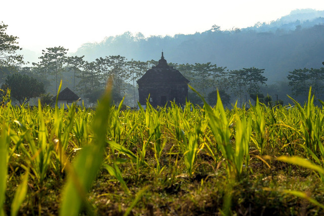 Watu Putih. Foto hanya ilustrasi, bukan tempat yang sebenarnya. Sumber: Pixabay/AgusTriyanto