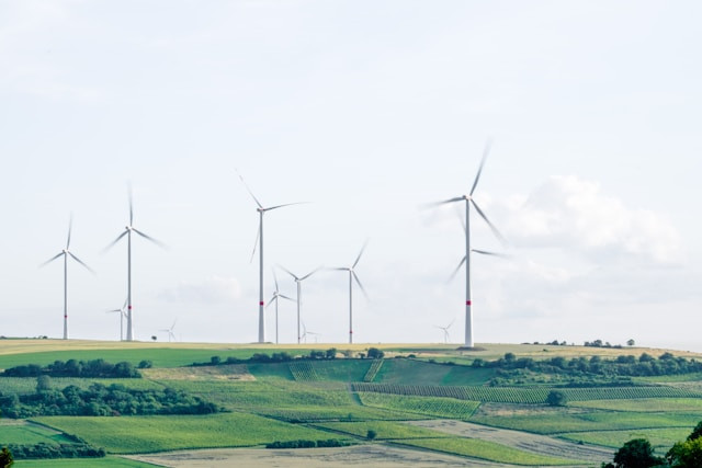 Prospek Kerja Teknik Lingkungan di Tahun 2025. Foto Hanya Ilustrasi, Bukan Sebenarnya. Sumber Foto: Unsplash.com/Karsten Würth