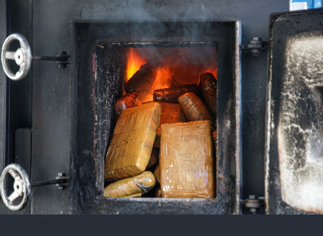 Sumber gambar : https://www.shutterstock.com/id/image-photo/tangerang-indonesiaoctober-2024-package-marijuana-destroyed-2536892737, shutterstock