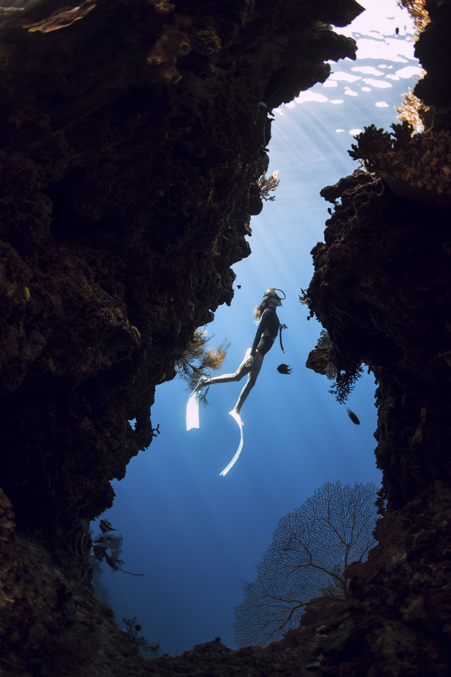 Ilustrasi penyelam. Foto: Shutterstock