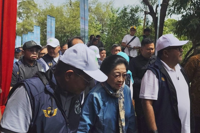 Dewan Pengarah BRIN sekaligus Ketua Umum PDI Perjuangan Megawati Soekarnoputri menghadiri penanaman mangrove bersama Ikatan Alumni SMAN 1 Jakarta (IKABOEDOET) di Kawasan Hutan Lindung Angke Kapuk, Jakarta Utara, Minggu (20/4/2025). Foto: Luthfi Humam/kumparan