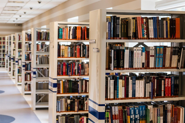 ilustrasi sebuah perpustakaan, sumber: Pixabay 
