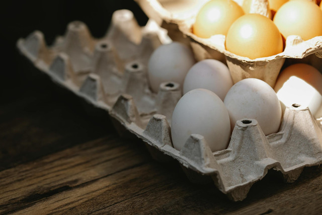 Ilustrasi Ciri telur bebek yang bagus. Foto: Pexels.com/Klaus Nielsen