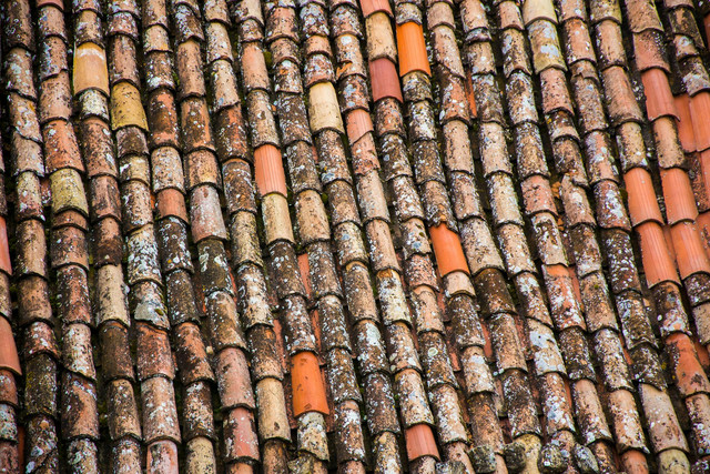 Ilustrasi Manfaat cat genteng. Foto: Pexels.com/Blaz Erzetic